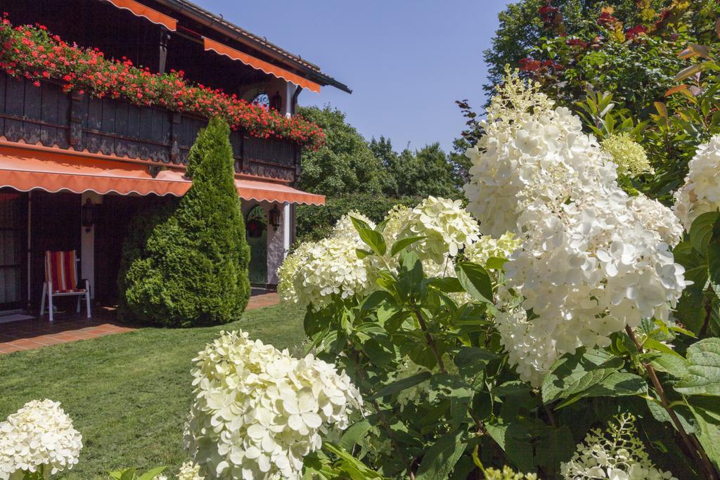 Hotel Alpina Hagnau Zewnętrze zdjęcie